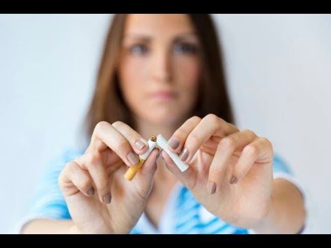Onde Comprar Cigarro de Camomila: Guia Prático e Confiável